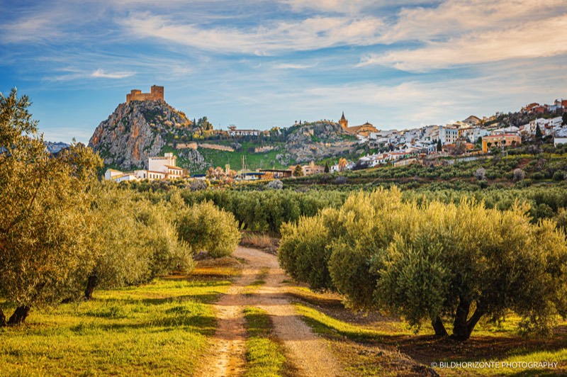 A short description about the picture goes here